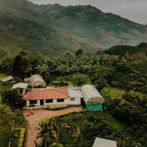 El Buho - Colombie - Décaféiné